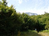 01.nakon kvara kombija i odustajanja od izleta u G.Kotar, krećemo pema Strugama i Badnju